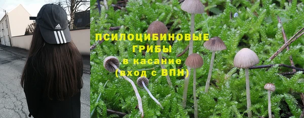 марки nbome Армянск