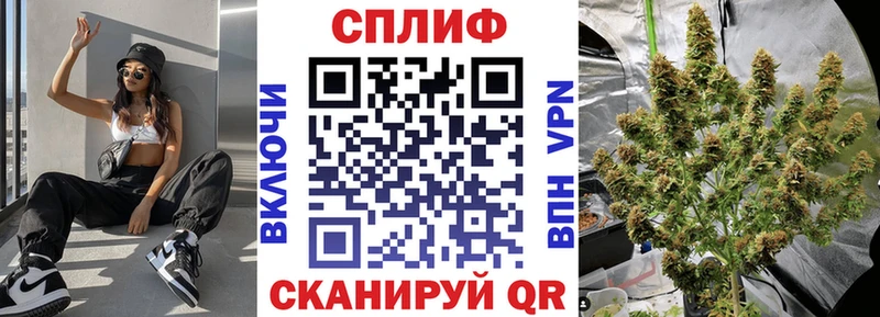 Конопля VHQ сколько стоит мориарти телеграм Аша
